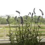 Greenapartament Kraków