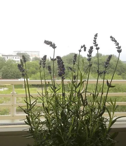 Greenapartament קרקוב